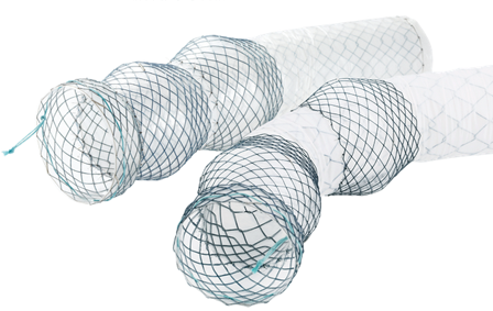 Niti-S™ Esophageal Beta  Stent